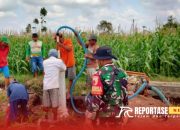 Atasi Kekeringan, Babinsa Tekung Dampingi Pembuatan Sumur Bor di Poktan Krajan Tani