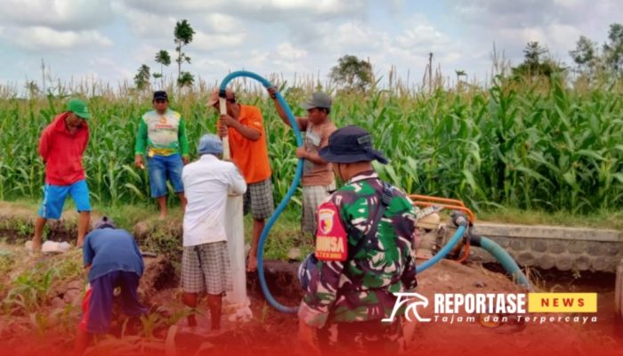 Atasi Kekeringan, Babinsa Tekung Dampingi Pembuatan Sumur Bor di Poktan Krajan Tani