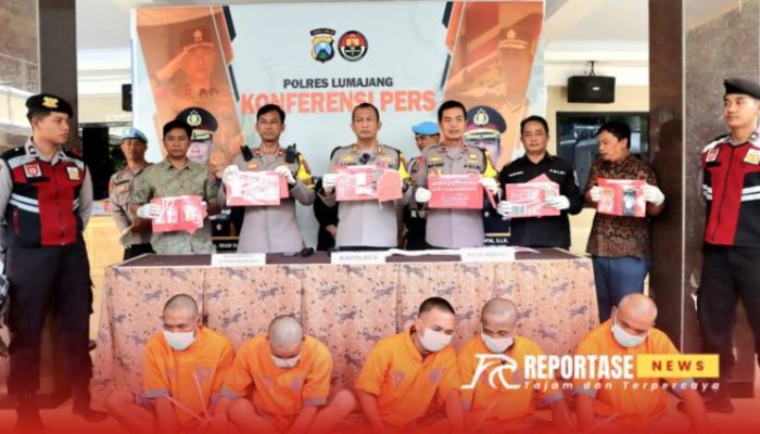 Polres Lumajang Bongkar Jaringan Narkoba, Ribuan Batang Ganja dan Sabu Diamankan