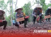 Polres Nganjuk Dorong Ketahanan Pangan Melalui Penanaman Jagung dan Budidaya Ikan di Lahan 12,2 Hektare 10 Polres Nganjuk Dorong Ketahanan Pangan Melalui Penanaman Jagung dan Budidaya Ikan di Lahan 12,2 Hektare