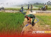 Dukung Peningkatan Pertanian, Babinsa Sarikemuning Lakukan Pendampingan Pengairan Lahan Petani 12 Dukung Peningkatan Pertanian, Babinsa Sarikemuning Lakukan Pendampingan Pengairan Lahan Petani