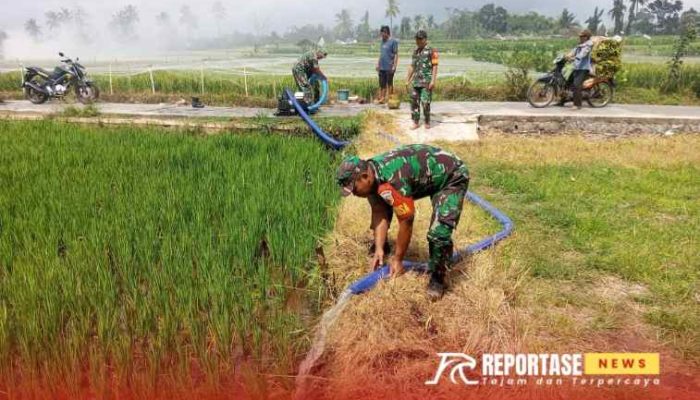 Dukung Peningkatan Pertanian, Babinsa Sarikemuning Lakukan Pendampingan Pengairan Lahan Petani