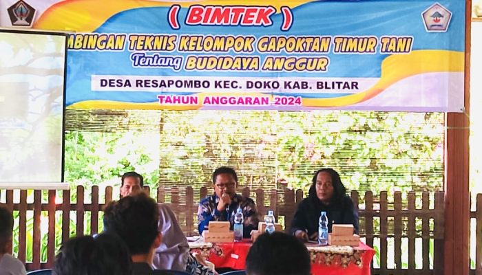 Gapoktan Timur Tani Desa Resapombo Ikuti Bimtek Budi Daya Anggur