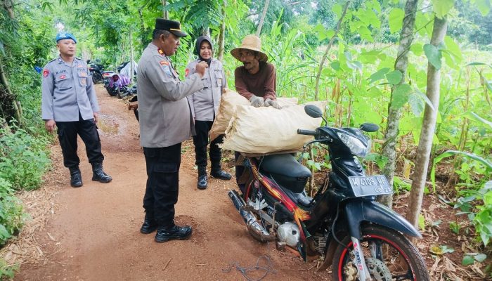 Kapolsek Talango Bersama Korluh Gelar Sosialisasi Perawatan Jagung di Dusun Jate Laok