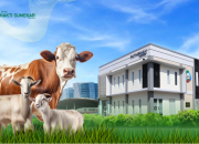 BPRS Sumenep Luncurkan Program Tabungan Qurban Agar Masyarakat Berqurban Lebih Ringan dan Terencana 7 BPRS Sumenep Luncurkan Program Tabungan Qurban Agar Masyarakat Berqurban Lebih Ringan dan Terencana