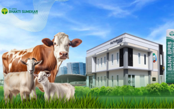 Reportase News Template 8