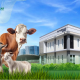 BPRS Sumenep Luncurkan Program Tabungan Qurban Agar Masyarakat Berqurban Lebih Ringan dan Terencana
