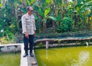 Polsek Pace Dukung Ketahanan Pangan Lewat Budidaya Lele dan Cabai di Pekarangan Warga 10 Polsek Pace Dukung Ketahanan Pangan Lewat Budidaya Lele dan Cabai di Pekarangan Warga