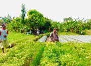 Polsek Ngronggot Gandeng Warga Dadapan Wujudkan Kemandirian Pangan Keluarga