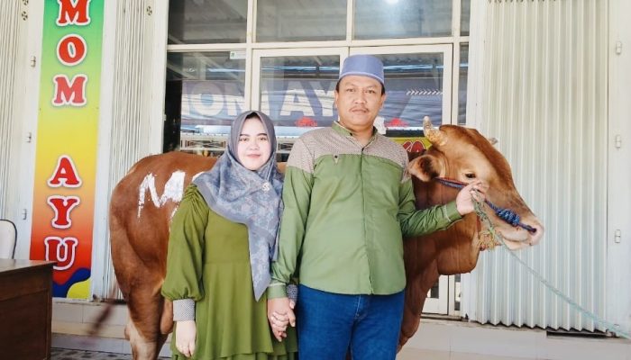 Idul Adha di Mom Ayu Sumenep: Satu Ekor Sapi untuk Warga Sekitar