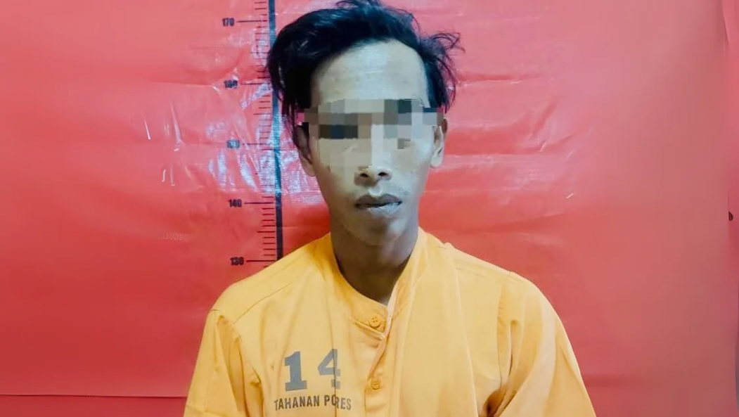 Reportase News Template 10