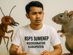 Kasus BSPS Sumenep: Santapan Rayap Kelaparan di Lorong Kekuasaan
