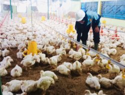 Tingkatkan Mutu Pendidikan, SMKN 1 Kademangan Terapkan Teaching Factory untuk Cetak Lulusan Siap Kerja 8 Tingkatkan Mutu Pendidikan, SMKN 1 Kademangan Terapkan Teaching Factory untuk Cetak Lulusan Siap Kerja