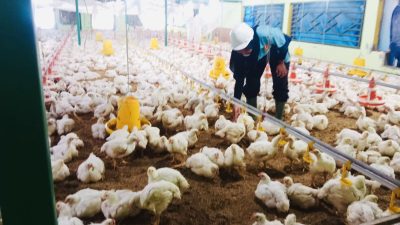 Tingkatkan Mutu Pendidikan, SMKN 1 Kademangan Terapkan Teaching Factory untuk Cetak Lulusan Siap Kerja