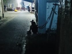 Miris, Bocah SD di Sumenep Diikat di Jemuran hingga Tengah Malam 10 Miris, Bocah SD di Sumenep Diikat di Jemuran hingga Tengah Malam
