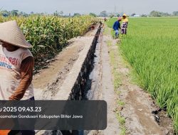 Kades Butun Apresiasi Progres P3-TGAI Kusuma Jaya, Proyek Capai 30% 8 Kades Butun Apresiasi Progres P3-TGAI Kusuma Jaya, Proyek Capai 30%