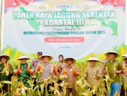 Sinergi Lintas Sektor di Blitar: Polres Blitar Gelar Panen Raya Jagung Serentak, Sumbang 34 Ton untuk Ketahanan Pangan 2 Sinergi Lintas Sektor di Blitar: Polres Blitar Gelar Panen Raya Jagung Serentak, Sumbang 34 Ton untuk Ketahanan Pangan