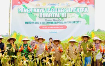 Sinergi Lintas Sektor di Blitar: Polres Blitar Gelar Panen Raya Jagung Serentak, Sumbang 34 Ton untuk Ketahanan Pangan 5 87b472db a0ed 4382 a713 cf50b075a329