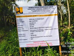Revitalisasi Saluran Irigasi Sumber Buntung, Petani Sidomulyo Sambut Masa Panen Raya dengan Optimisme Baru