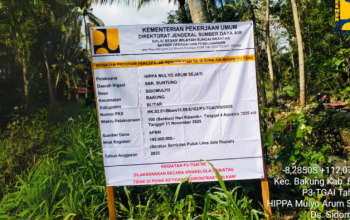 Revitalisasi Saluran Irigasi Sumber Buntung, Petani Sidomulyo Sambut Masa Panen Raya dengan Optimisme Baru 8 Reportase News Template 5