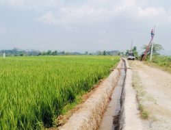 Peningkatan Infrastruktur Pertanian: Petani di Desa Boro Selorejo Bersemangat Melaksanakan Proyek Irigasi Swakelola 12 Peningkatan Infrastruktur Pertanian: Petani di Desa Boro Selorejo Bersemangat Melaksanakan Proyek Irigasi Swakelola