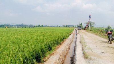 Peningkatan Infrastruktur Pertanian: Petani di Desa Boro Selorejo Bersemangat Melaksanakan Proyek Irigasi Swakelola