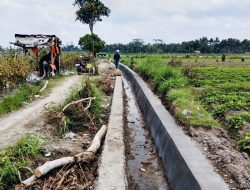 Revitalisasi Saluran Irigasi Sumber Aren: Menjaga Ketahanan Pangan di Desa Karang Bendo 8 Revitalisasi Saluran Irigasi Sumber Aren: Menjaga Ketahanan Pangan di Desa Karang Bendo