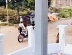 Warga OKI Geger, Pria Tewas Ditembak OTK Saat Bonceng Istri