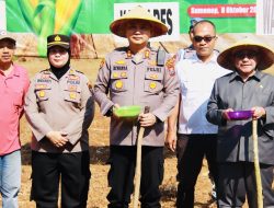 Forkopimda Sumenep Gelar Penanaman Jagung Serentak Kuartal IV di Desa Ellak Daya