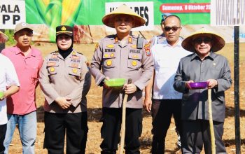 Forkopimda Sumenep Gelar Penanaman Jagung Serentak Kuartal IV di Desa Ellak Daya 4 275d4ae3 94ff 4f89 82d7 0867698f6e5d