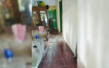 Gubernur Jatim Dinilai Tutup Mata, Pulau Sepudi Kembali Diguncang Gempa 5,0 SR 3 Reportase News Template 10