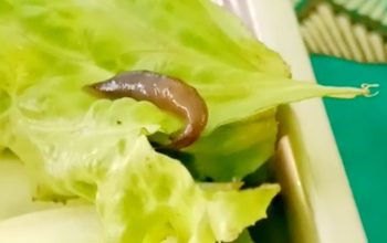 Screenshot 20251024 070944 Gallery