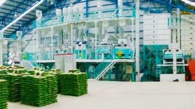 Pupuk Indonesia Grup Siap Transformasi: Wujudkan Industri Modern, Efisien, dan Akuntabel Demi Ketahanan Pangan Nasional
