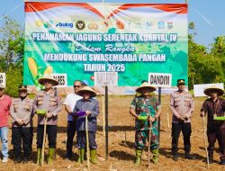 Sukseskan Ketahanan Pangan, Kodim Sumenep Tanam Jagung Bibit Unggul Hibrida 9 Sukseskan Ketahanan Pangan, Kodim Sumenep Tanam Jagung Bibit Unggul Hibrida