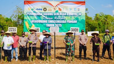 Sukseskan Ketahanan Pangan, Kodim Sumenep Tanam Jagung Bibit Unggul Hibrida