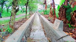 Pembangunan Irigasi Desa Butun Gandusari Tuntas Sebagian, Kepala Desa Apresiasi Kinerja TPK, Kendala Cuaca Tak Halangi Kualitas Hasil Pekerjaan 7 IMG 20251103 WA0054