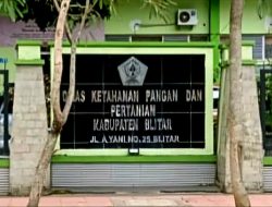 Bantuan Alsintan DBHCHT Kabupaten Blitar Dorong Modernisasi dan Kesejahteraan Petani Tembakau