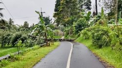 02703093 fb7e 4a92 bf18 609c9959fafa