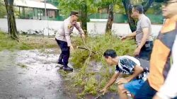 Pohon Tumbang di Jalan Basuki Rahmad, Polsek Sumenep Kota Bergerak Cepat Lakukan Penanganan