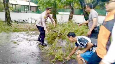 1f145661 13eb 40e0 b641 63f6600db786