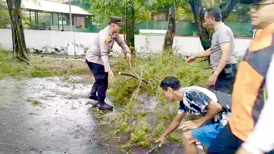 1f145661 13eb 40e0 b641 63f6600db786