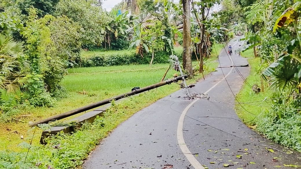 Listrik Padam Seharian, Warga Keluhkan Respons Lambat PLN 2 ab212d41 d2ac 45ff 95da 4f4770b63de5