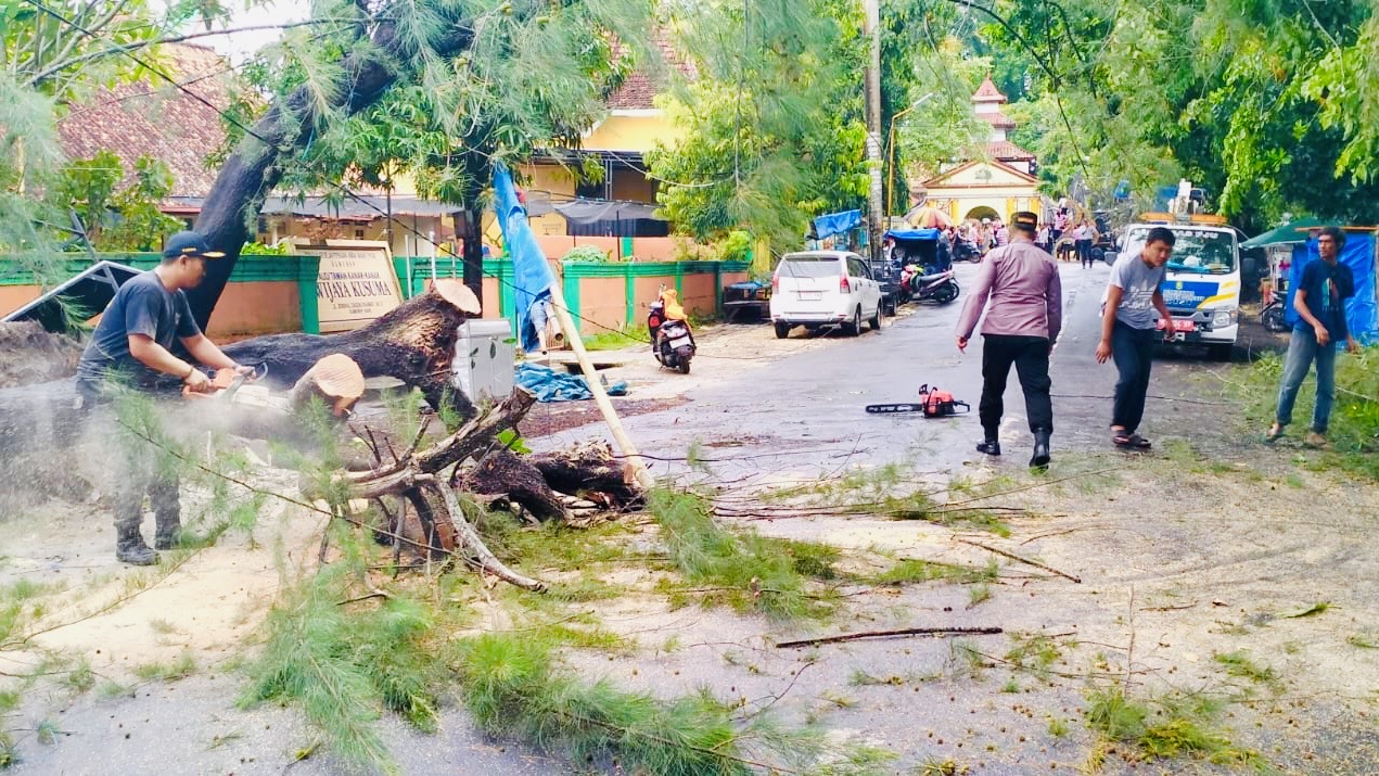 f88a01af f0b0 4f6f 8d38 a133cfd6141b