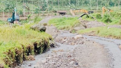 5f901ead fca9 4ec5 91fb fc0196963b28 1