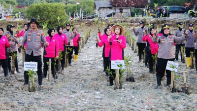 231b96c1 fabb 4de6 bbc0 664803bd08fb