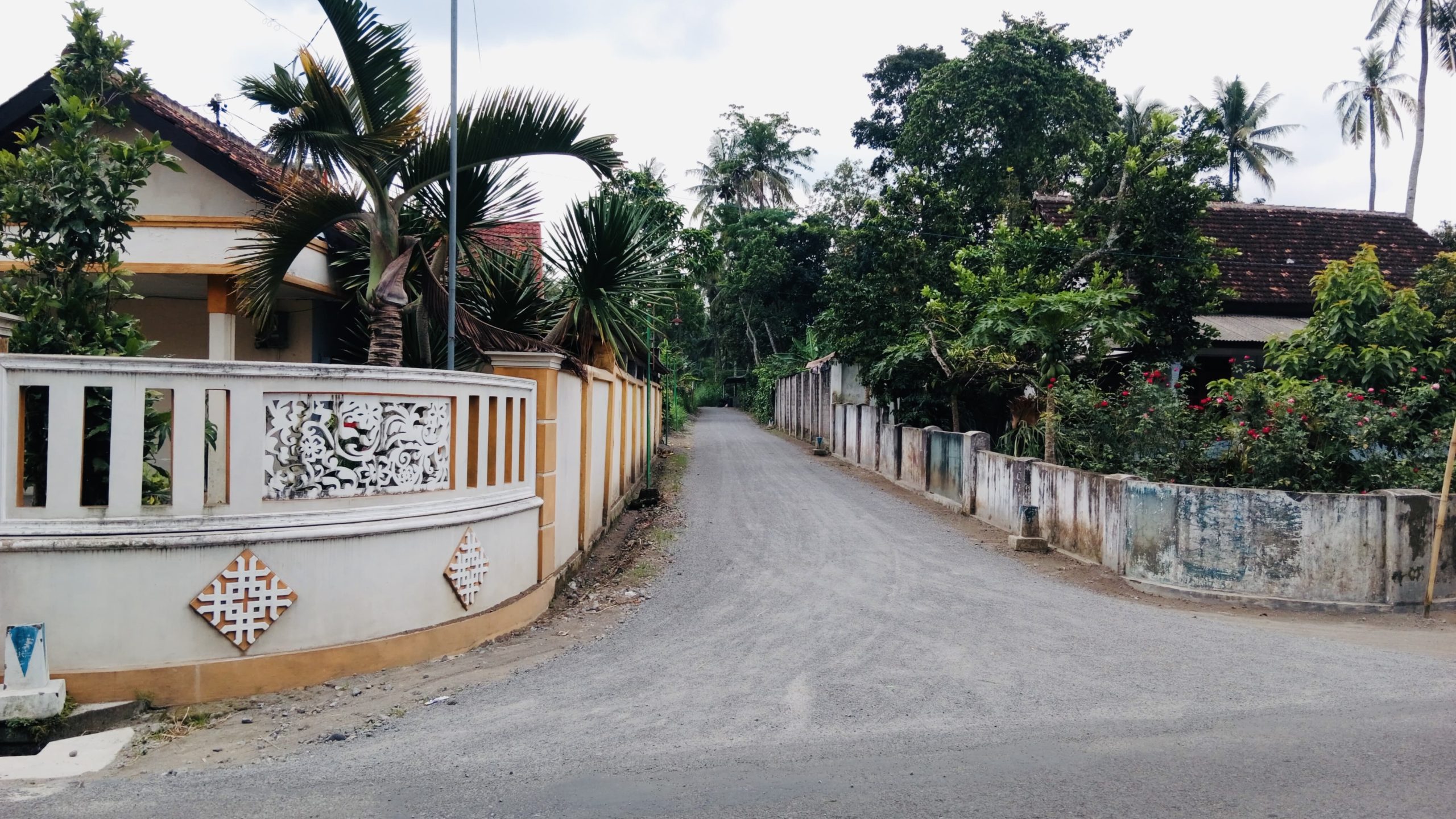 4b18c55c 7732 4720 b27b 3ec5cb3f07cf scaled