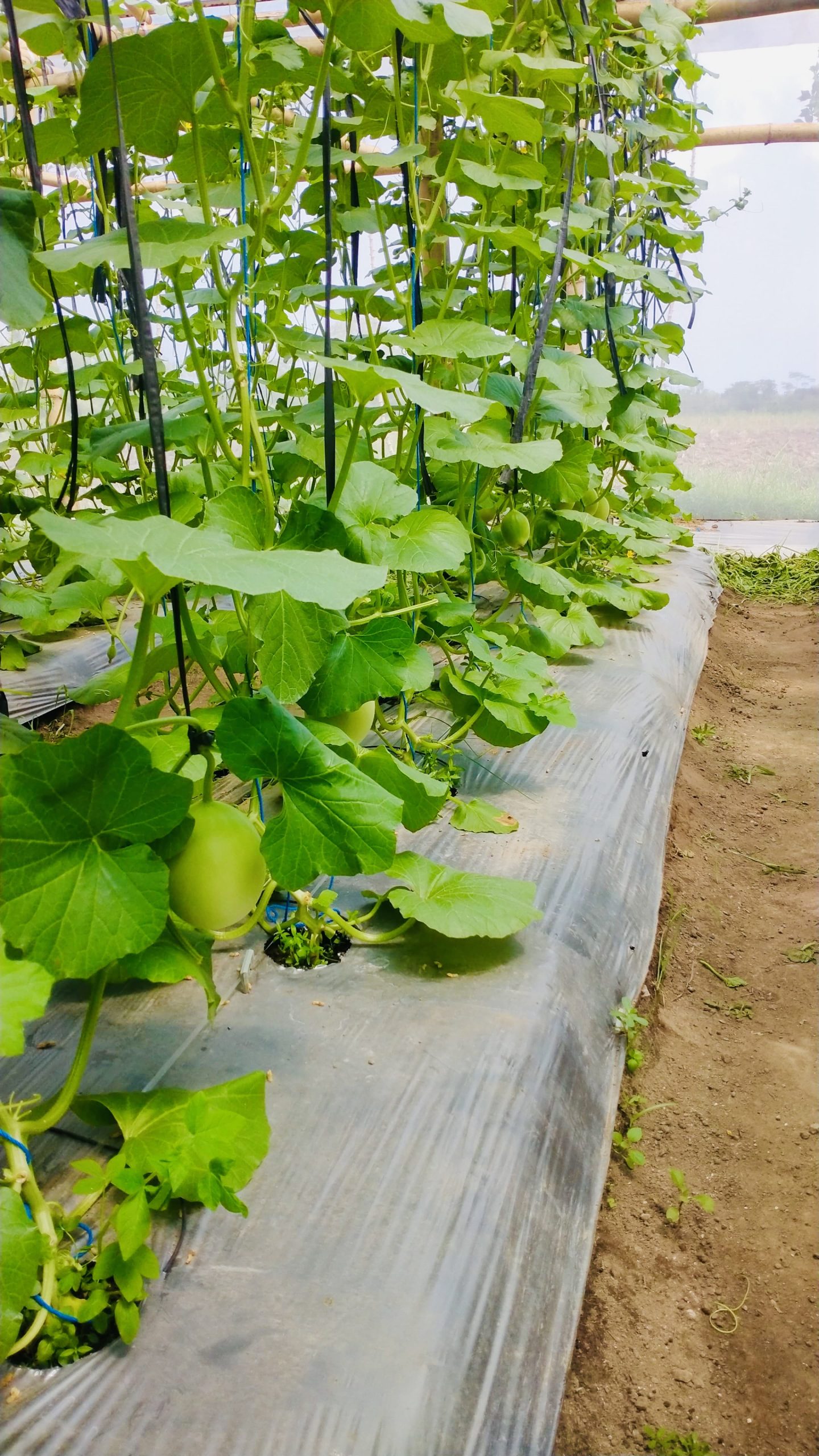 67da1817 08da 4473 beaf f90c9c7a6405 scaled